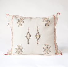 Load image into Gallery viewer, No. 202 Sabra Silk Pillow