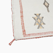 Load image into Gallery viewer, No. 202 Sabra Silk Pillow