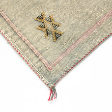 Load image into Gallery viewer, No.105 Sabra Silk Pillows