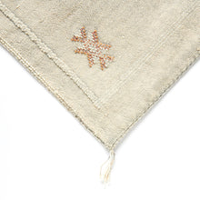 Load image into Gallery viewer, No. 97 Sabra Silk Pillow