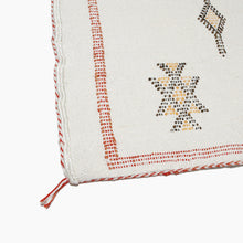 Load image into Gallery viewer, No. 202 Sabra Silk Pillow
