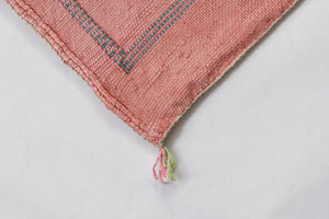 No. 37 Pink Sabra Silk Pillow
